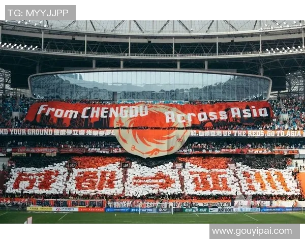 贵阳足球明星赛盛大开球吸引众多球迷共同见证精彩对决